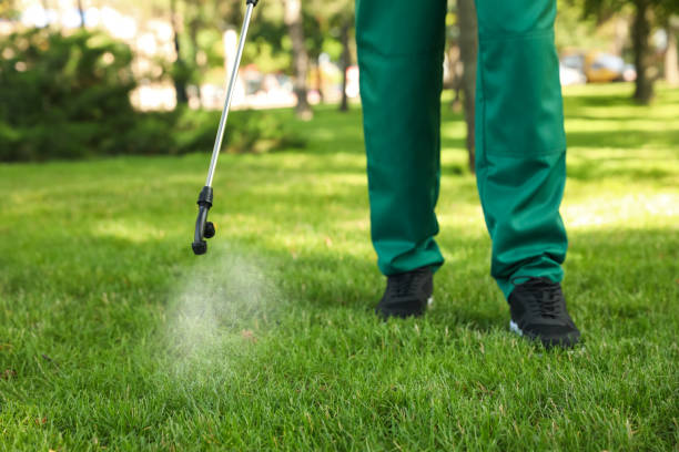 Best Local Pest Control Services  in Kiawah Island, SC